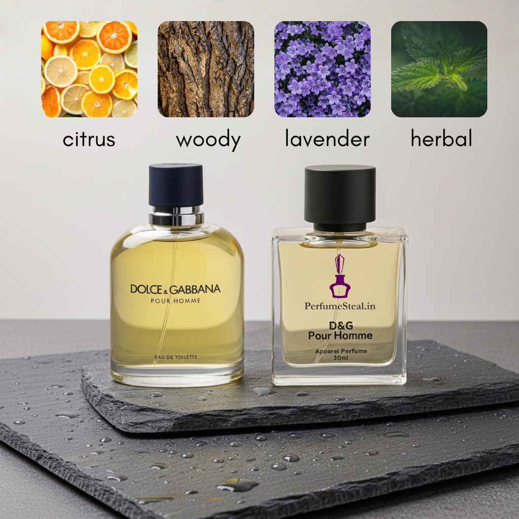 D&G Pour Homme Inspired Perfume