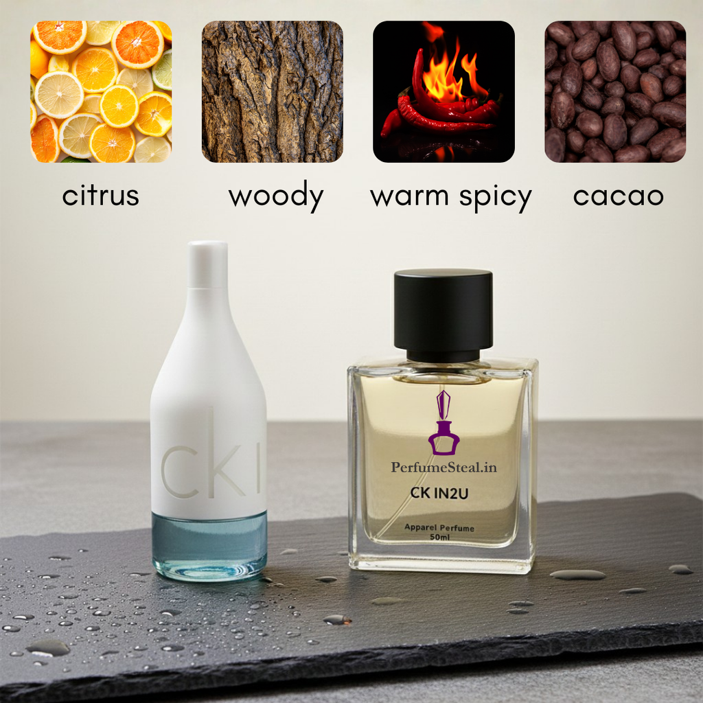 CK IN2U for Him by Kalvin Klein  Inspired Perfume