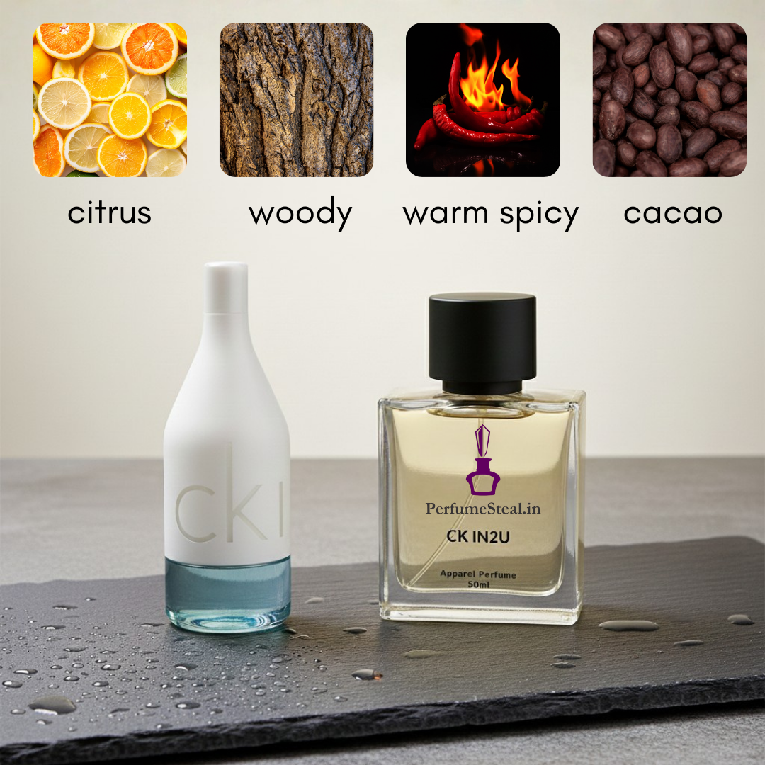 CK IN2U for Him by Kalvin Klein  Inspired Perfume