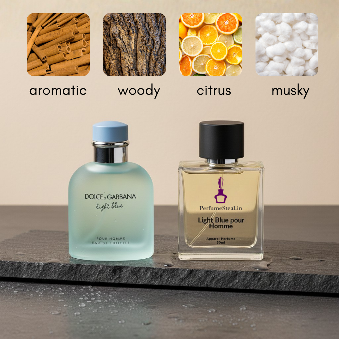 Light Blue Pour Homme by Doelce and Gaebbana Inspired Perfume