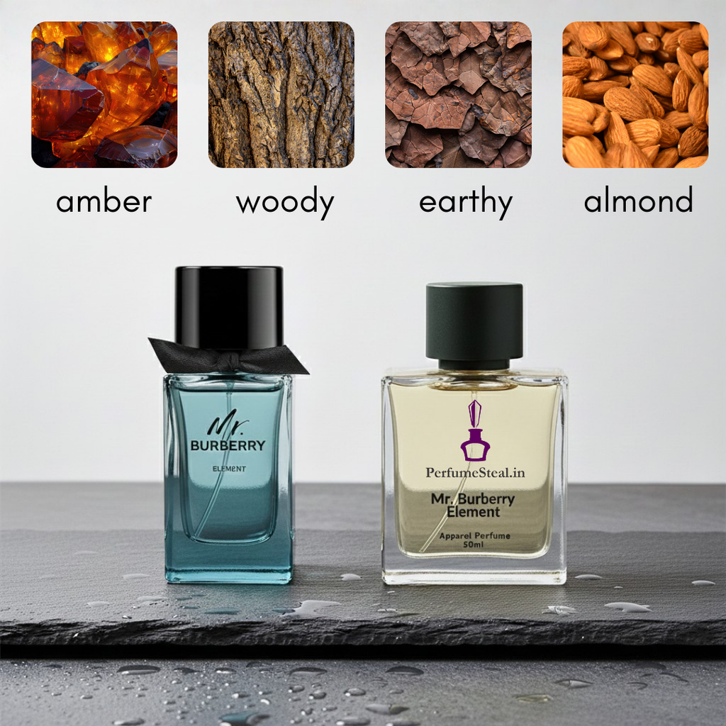 Mr Burberri Element  for men Inspired Perfume